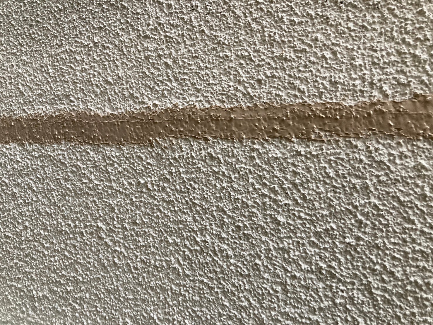 解説画像5